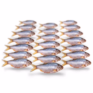 Prebaits Roach-Silver Bream Small 7 - 10cm