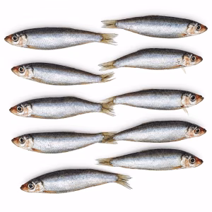 Prebaits Bliek 8 - 10cm 1